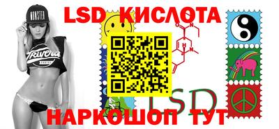 стаф Шелехов