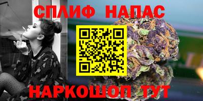 стаф Шелехов