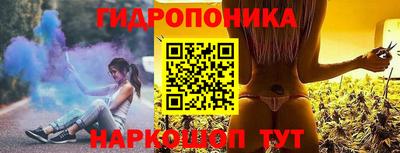 стаф Шелехов