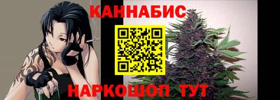 стаф Шелехов