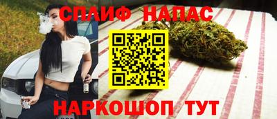 стаф Шелехов