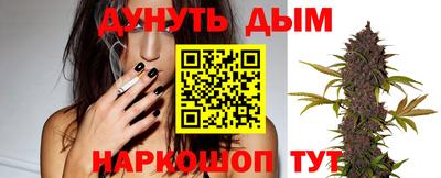 стаф Шелехов