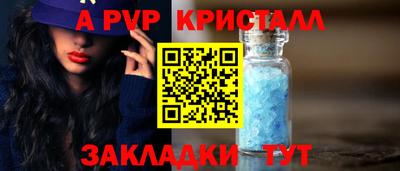 стаф Шелехов