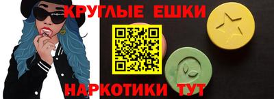 стаф Шелехов