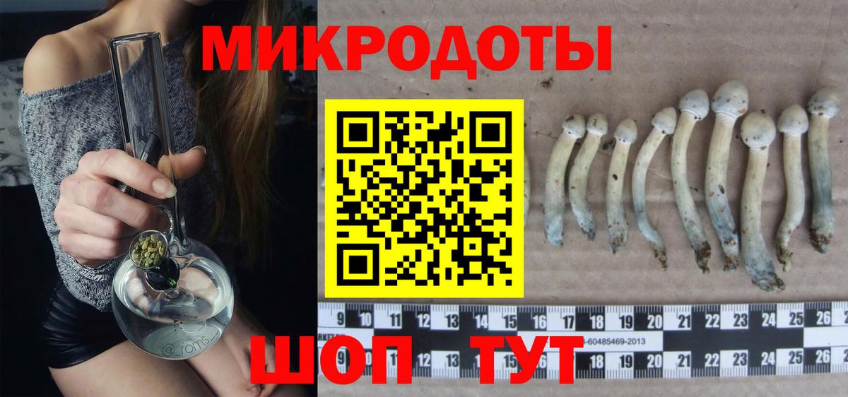 Галлюциногенные грибы Psilocybine cubensis  сколько стоит  Борисоглебск  Галлюциногенные грибы GOLDEN TEACHER  Вход с VPN 